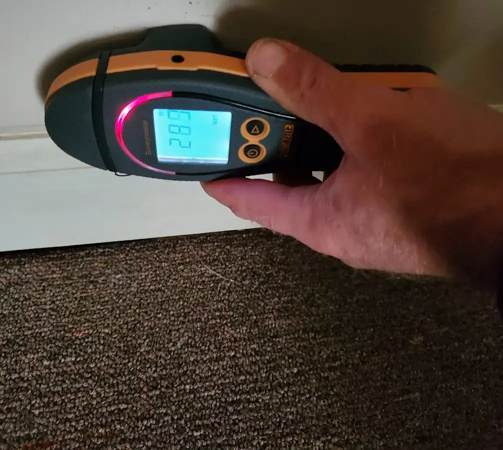 Moisture detection at baseboard during Sewage Cleanup & Sanitation in Mexia
